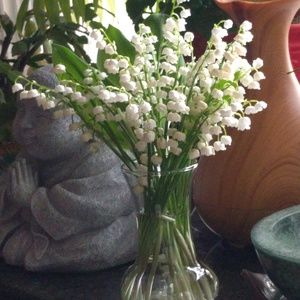 Meet your Posher, Corinne